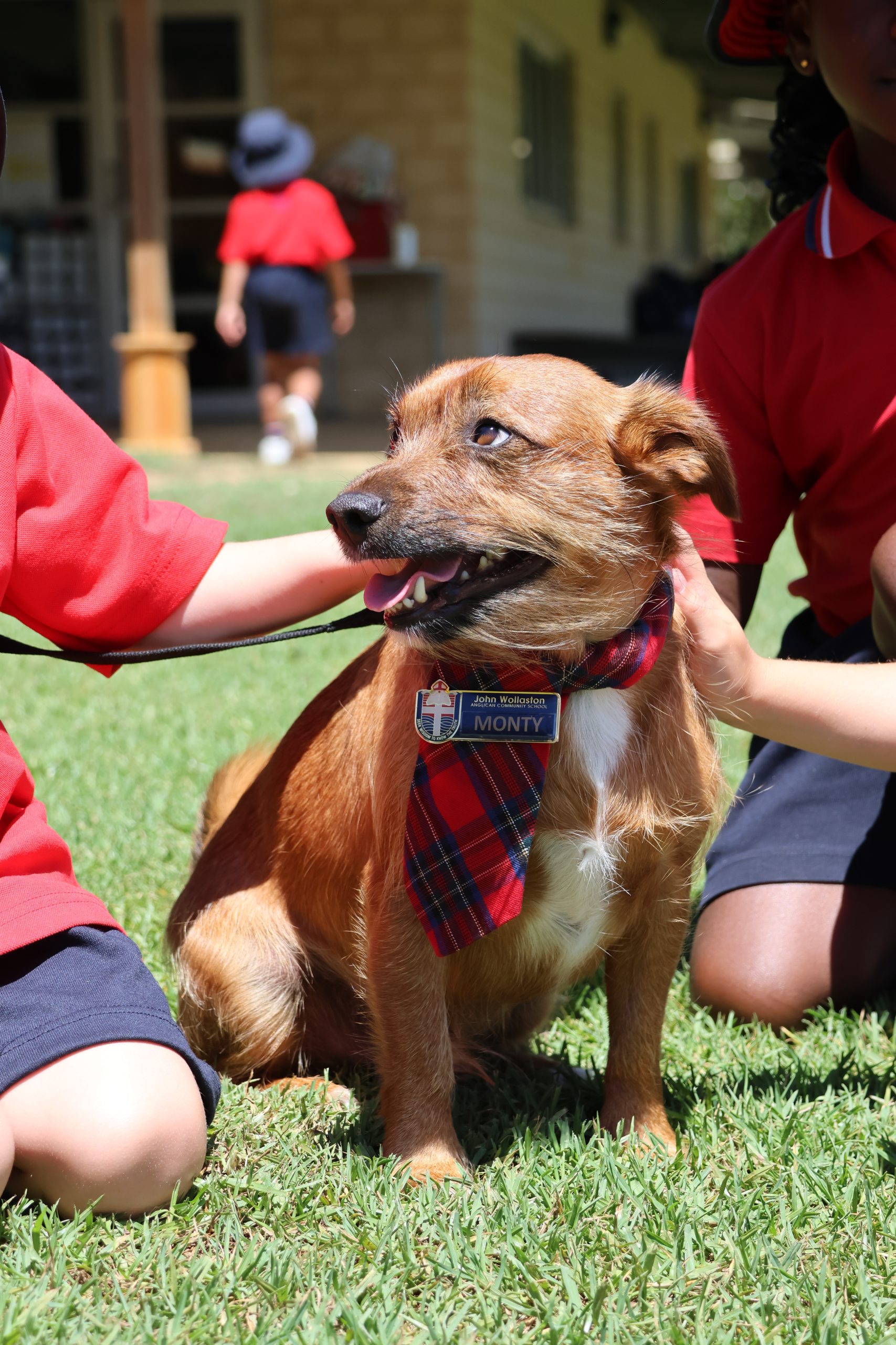 0J0A8578 scaled Pastoral 5