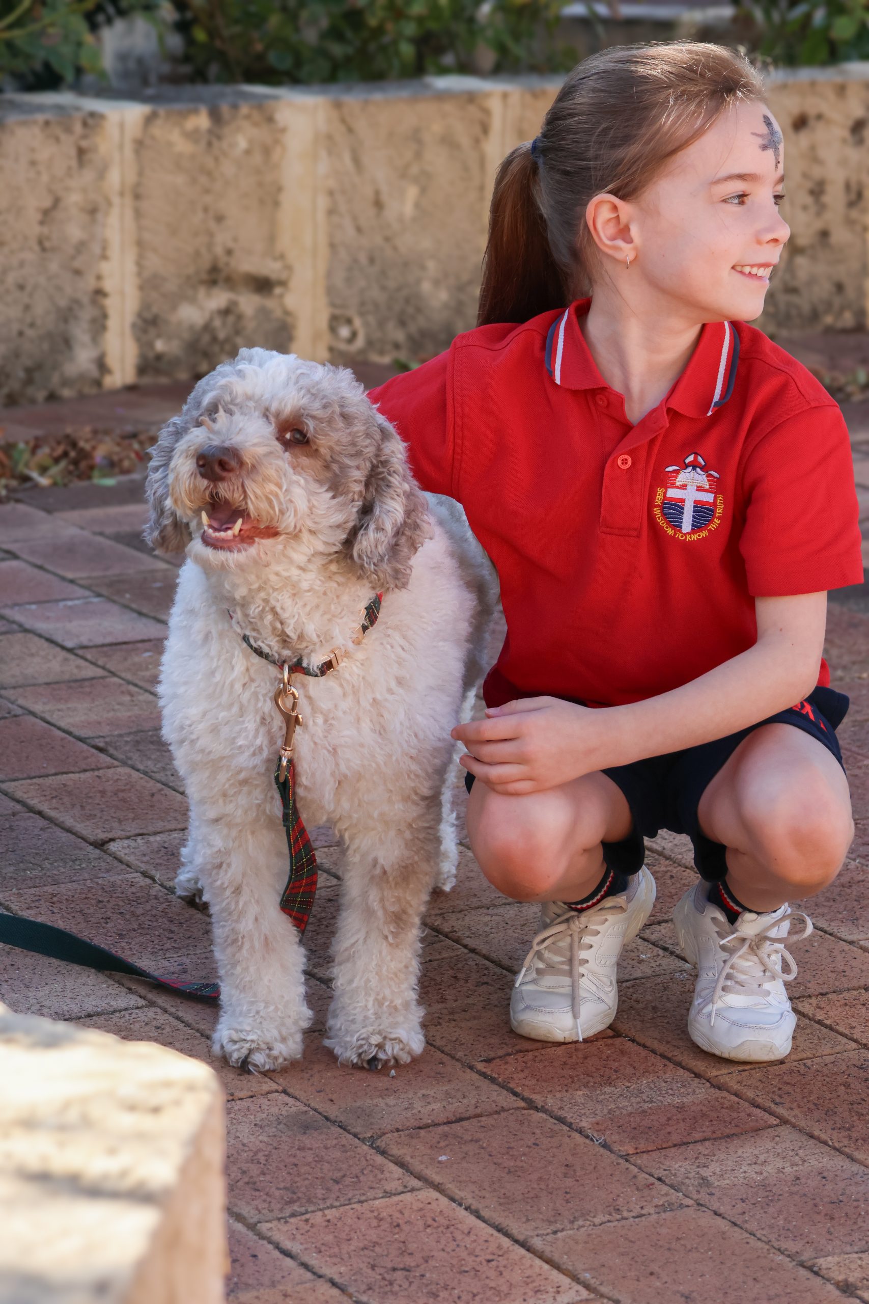 0J0A9062 2 scaled Pastoral 1