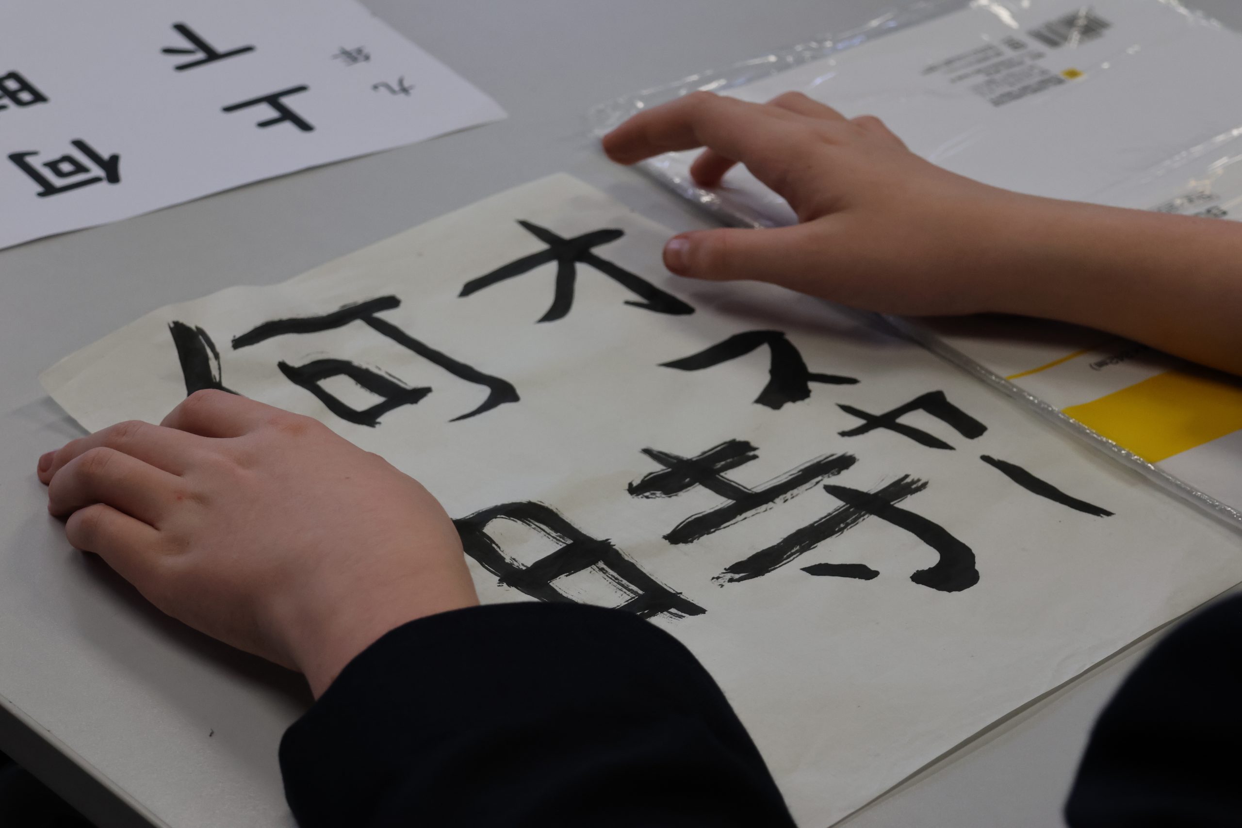 0J0A5151 scaled Languages 1