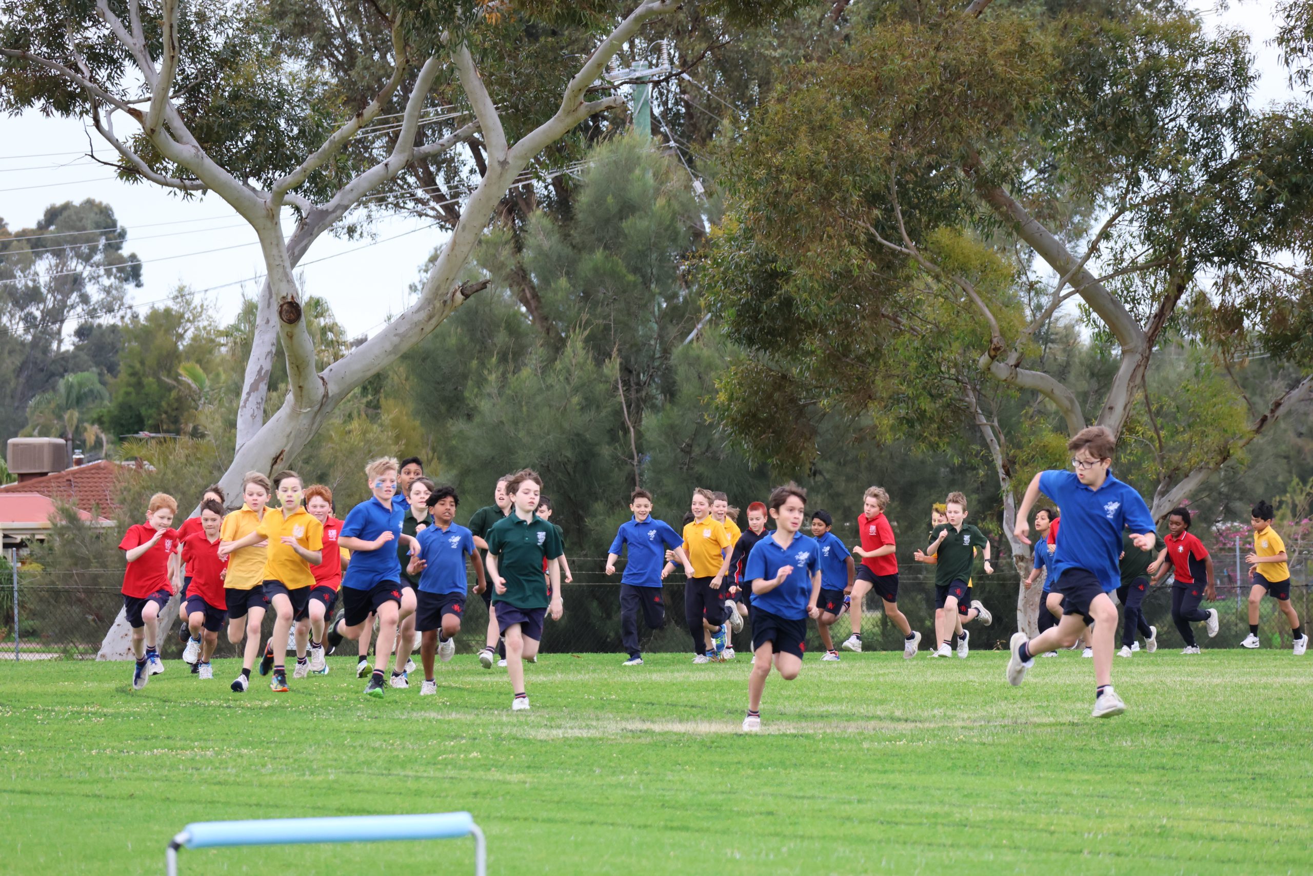 0J0A7117 scaled Primary Inter-House Athletics Carnival 28 0J0A7117 scaled Primary Inter-House Athletics Carnival 27