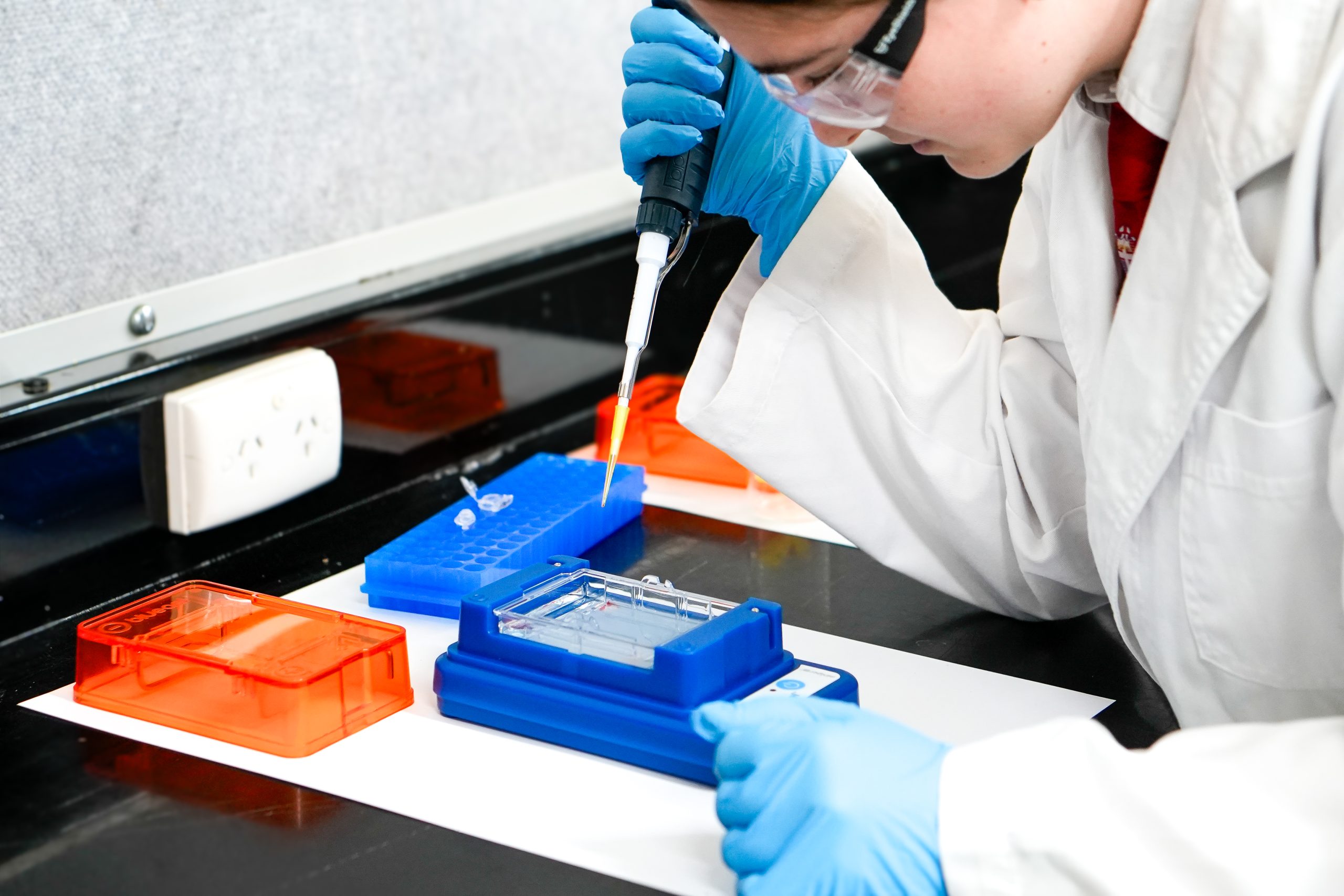 DSC2678 2 scaled Biomedical Science 9