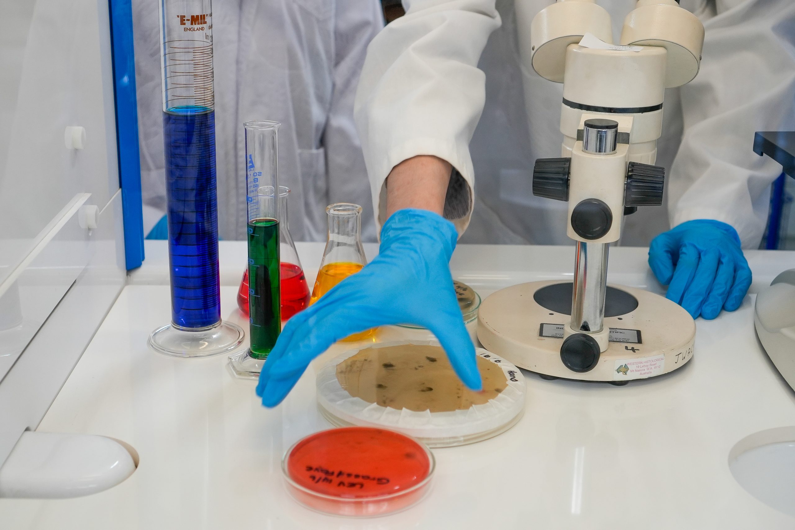 DSC2702 2 scaled Biomedical Science 5