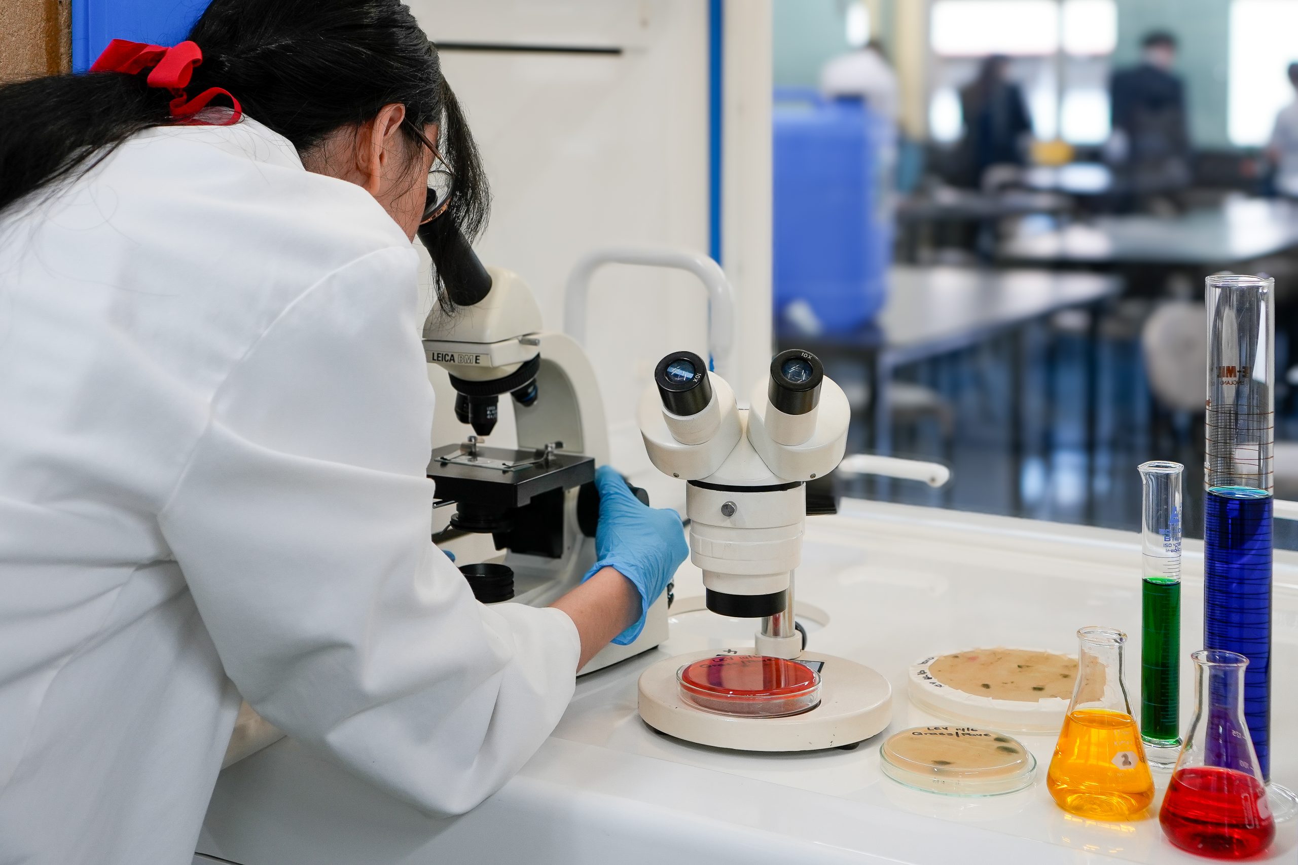 DSC2714 2 scaled Biomedical Science 7