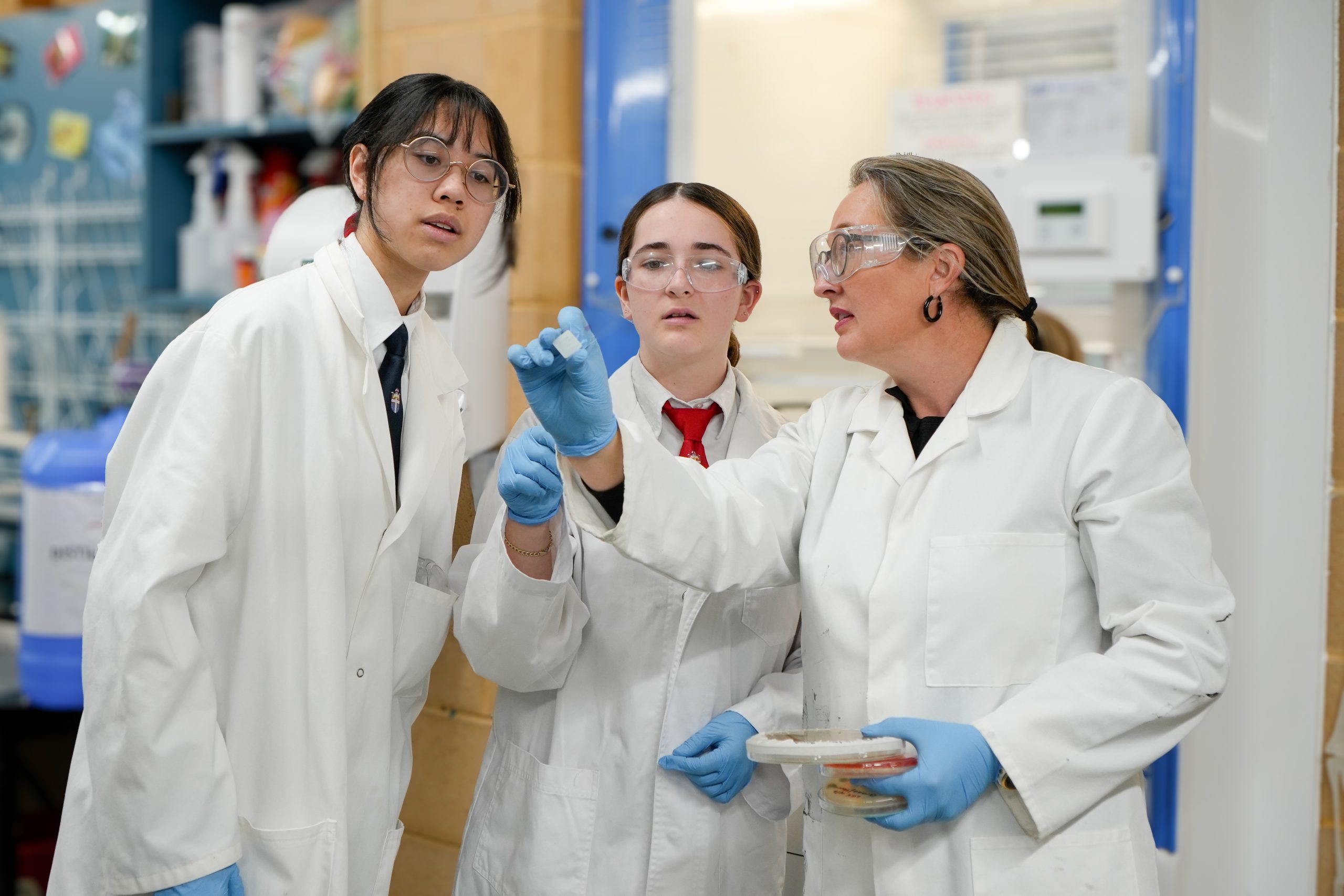 DSC2723 2 scaled Biomedical Science 1