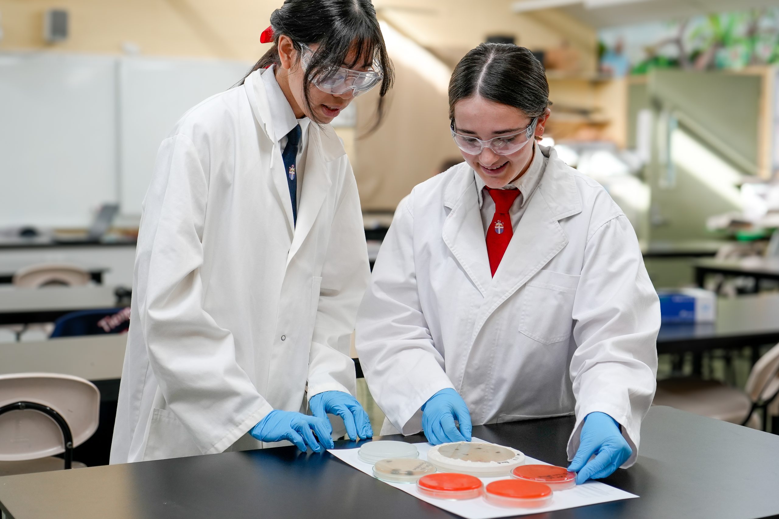 DSC2738 2 scaled Biomedical Science 3