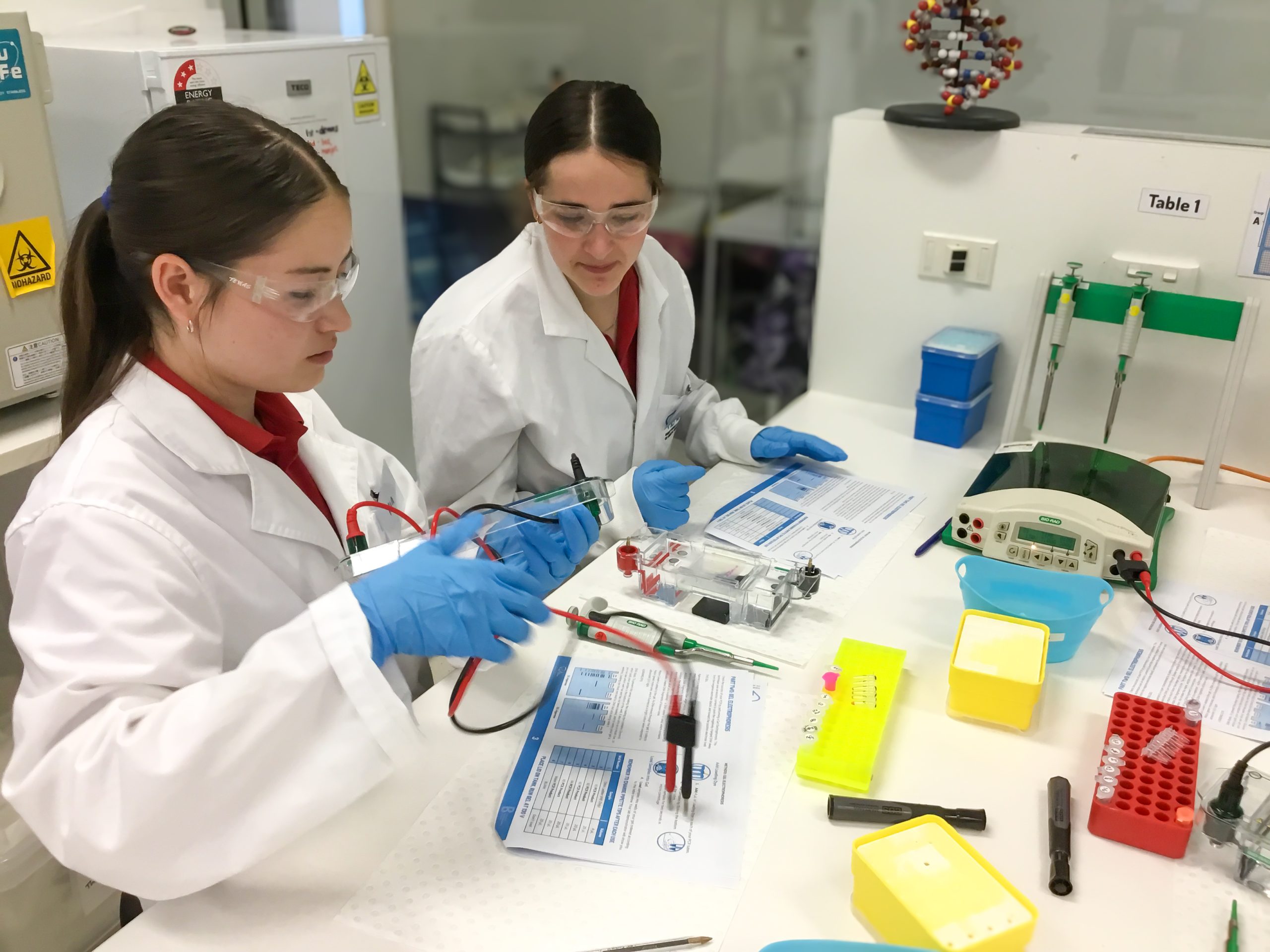 IMG 9606 scaled Science 19