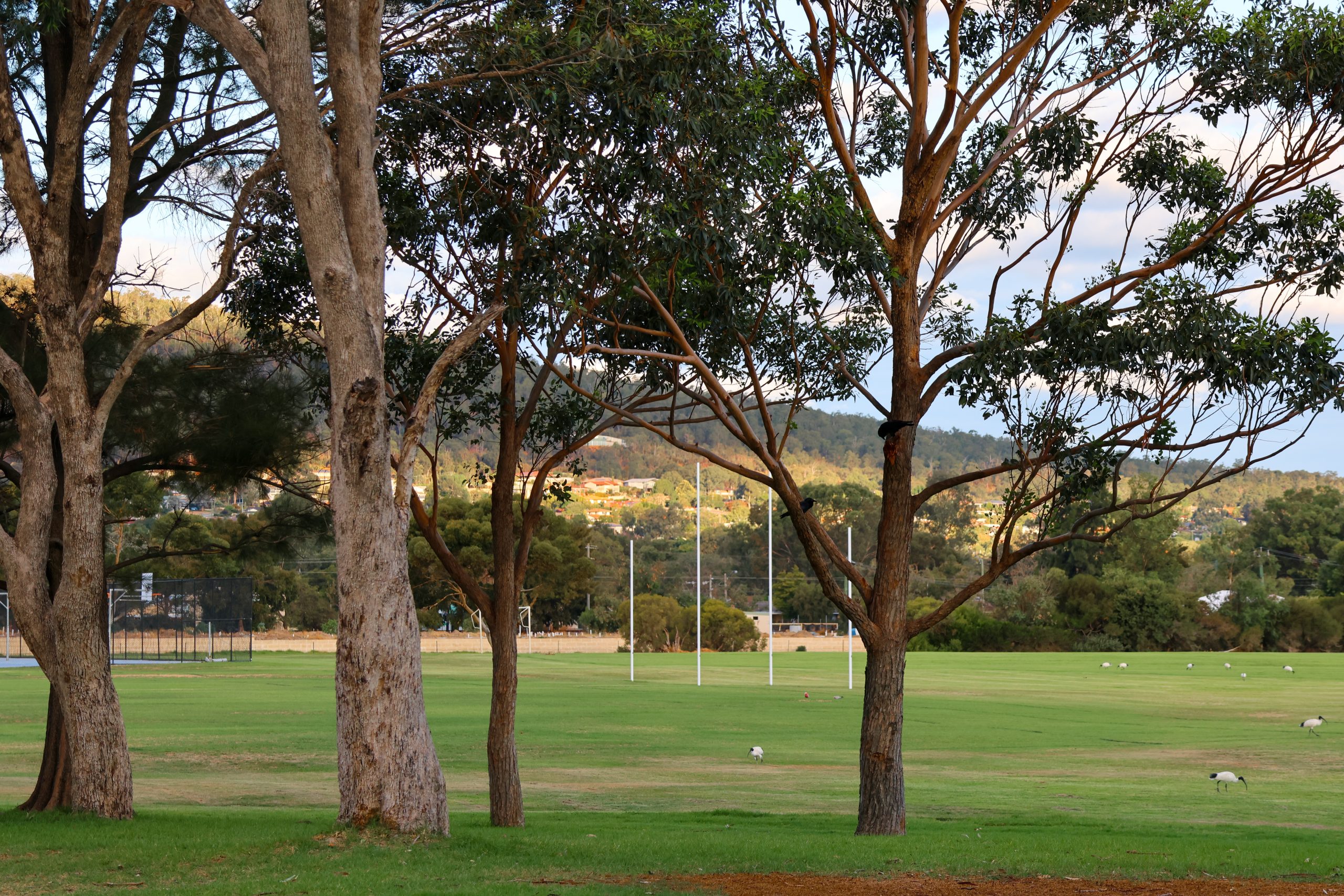 School oval scaled Facilities 8 School oval scaled Facilities 7