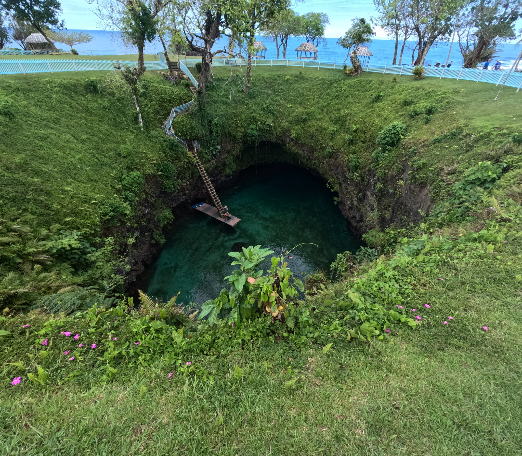 GPTempDownload 1 Samoa Student Immersion 6 GPTempDownload 1 Samoa Student Immersion 5