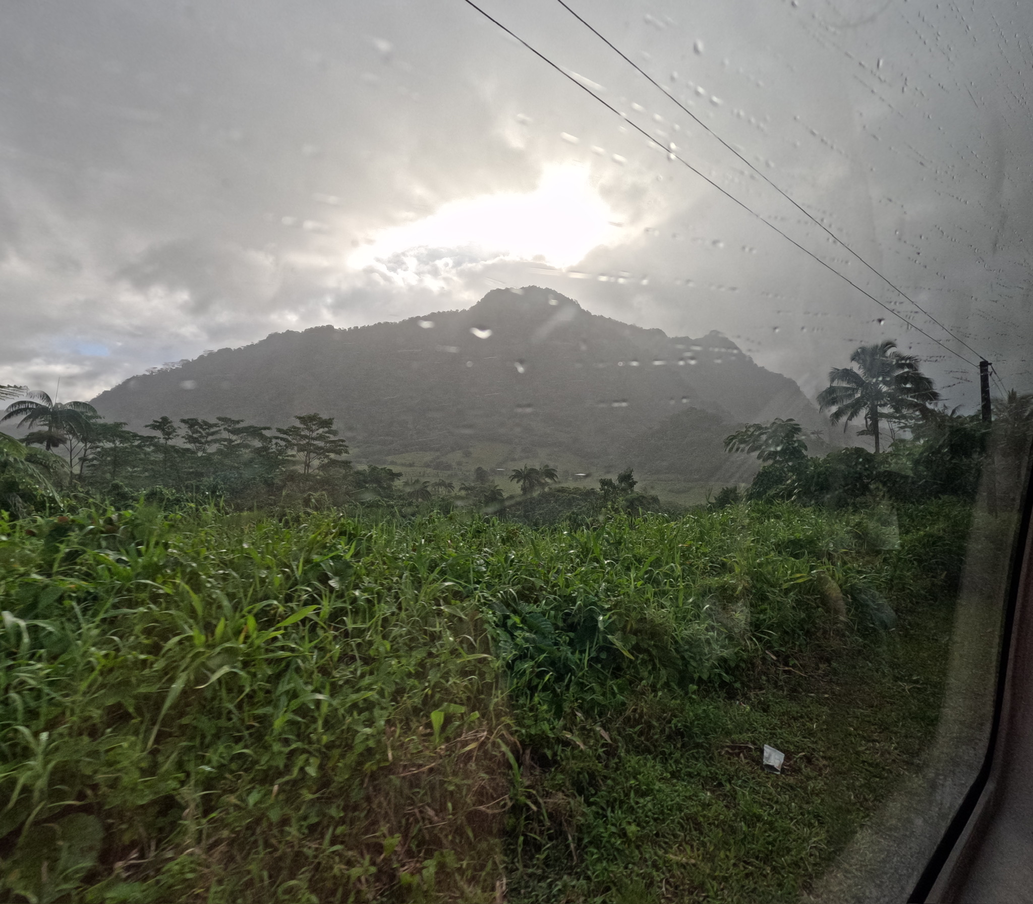 GPTempDownload 4 Samoa Student Immersion 2 GPTempDownload 4 Samoa Student Immersion 1