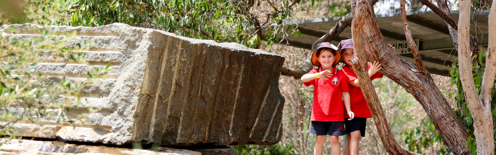 header 2 15 Pre-Primary Encounter 183