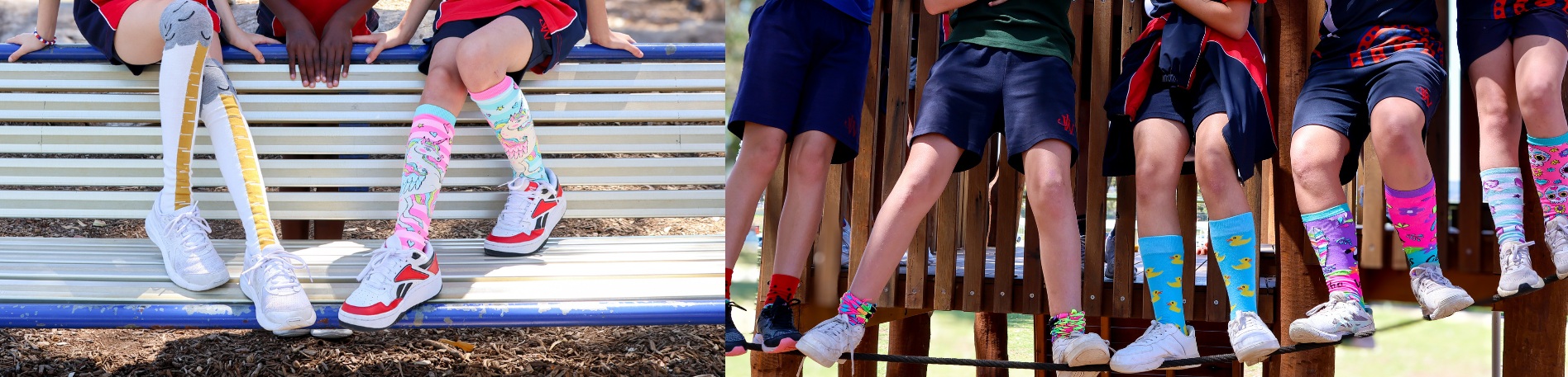 Loud sock day header Loud Sock Day 67 Loud sock day header Loud Sock Day 66