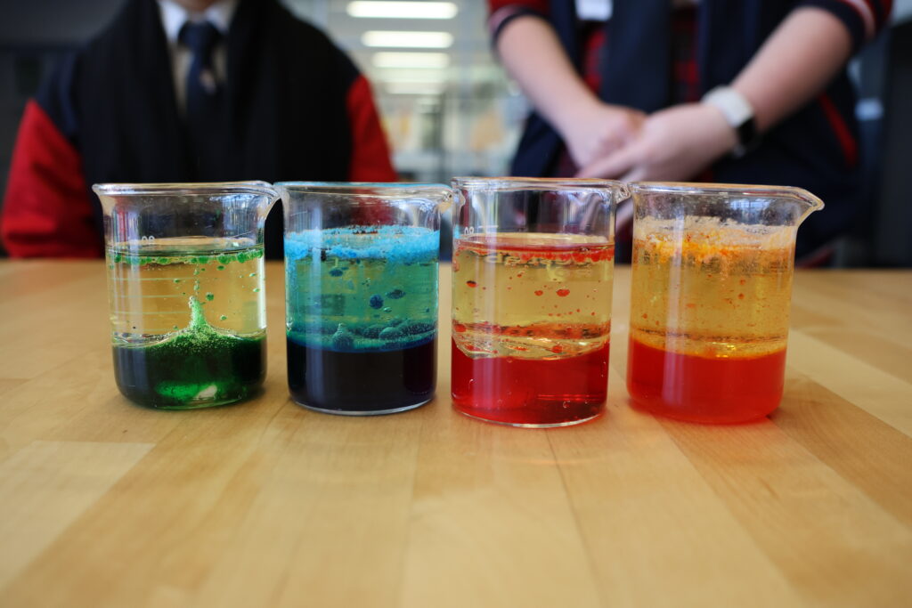 0J0A8950 Science Week 1