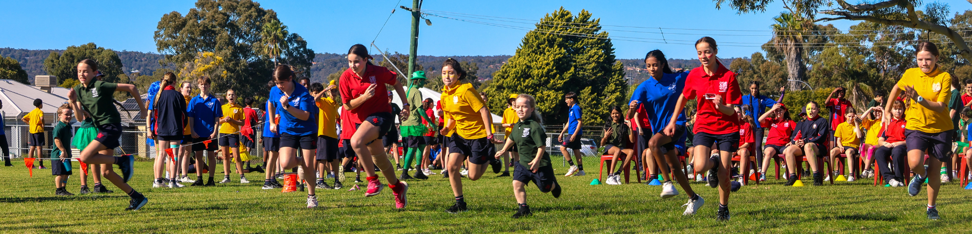 Sport header Armadale Aquathlon Success 25