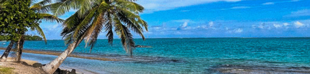 5 Samoa Service Learning Trip 1