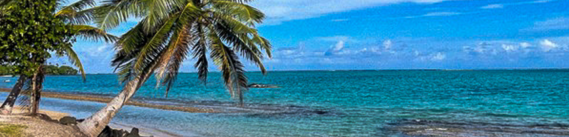 5 Samoa Service Learning Trip 118 5 Samoa Service Learning Trip 117