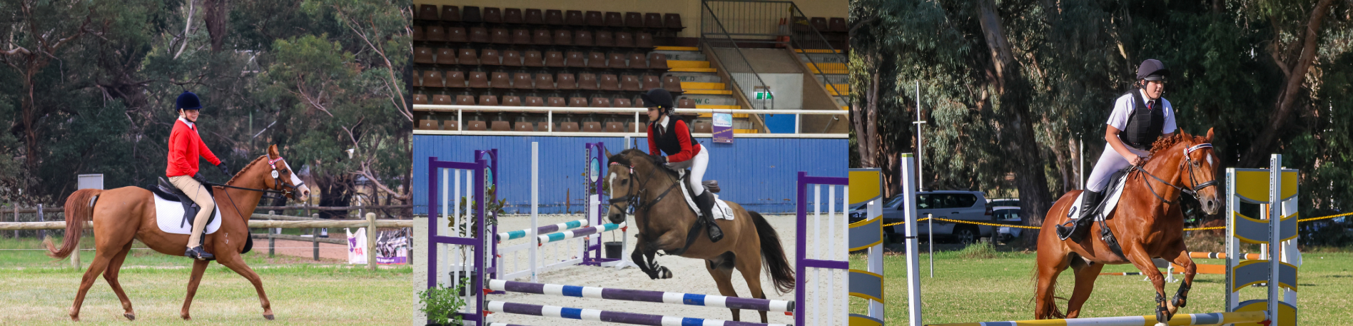 Website headers Equestrian WA Equestrian Inter-School State Championships 87